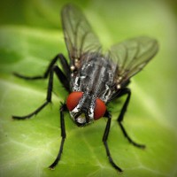 /album/peterquimica/photolia-a01-jpg/